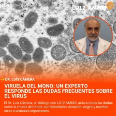 Viruela del mono: un experto responde las dudas frecuentes sobre el virus