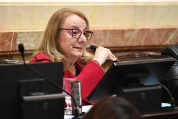 Alicia Kirchner: “La eliminación de fondos de la Ley Ovina perjudica al desarrollo federal”