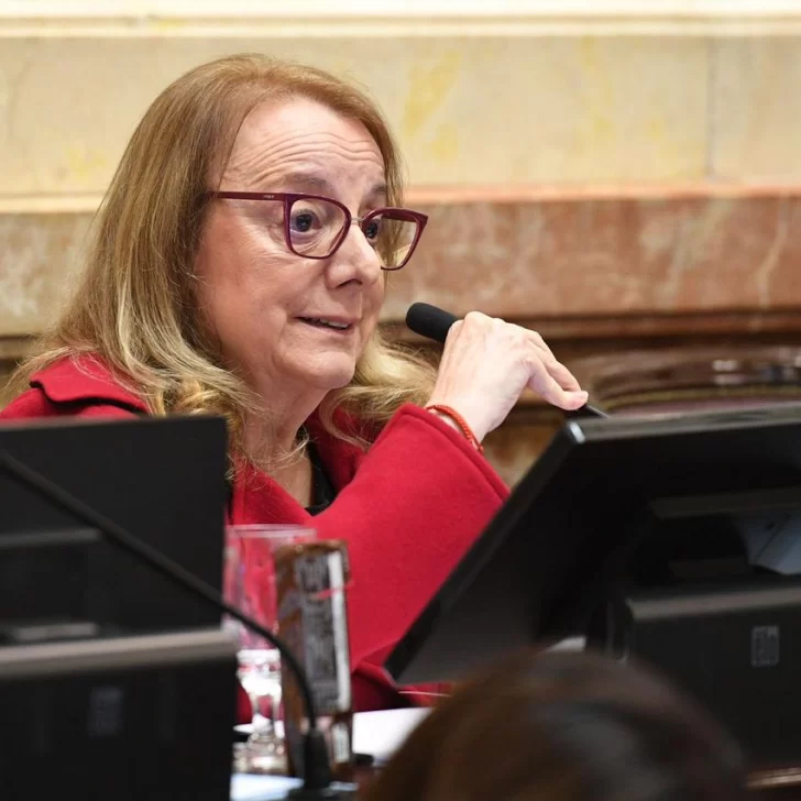 Alicia Kirchner: “La eliminación de fondos de la Ley Ovina perjudica al desarrollo federal”