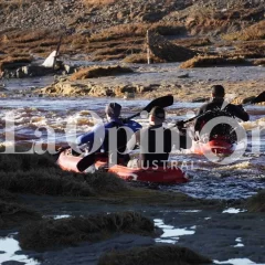 Buscan con kayaks en el Río Chico al empresario Nelson Ariel Romero: ¿Cómo sigue el operativo?