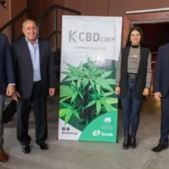 En una sociedad del Grupo Olmos y el Grupo Vila, Mendoza inauguró el primer cultivo de cannabis indoor a gran escala