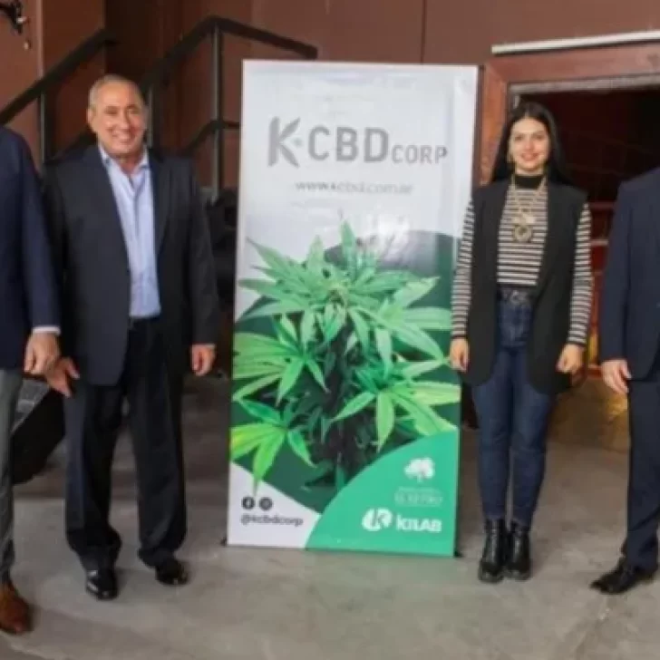 En una sociedad del Grupo Olmos y el Grupo Vila, Mendoza inauguró el primer cultivo de cannabis indoor a gran escala