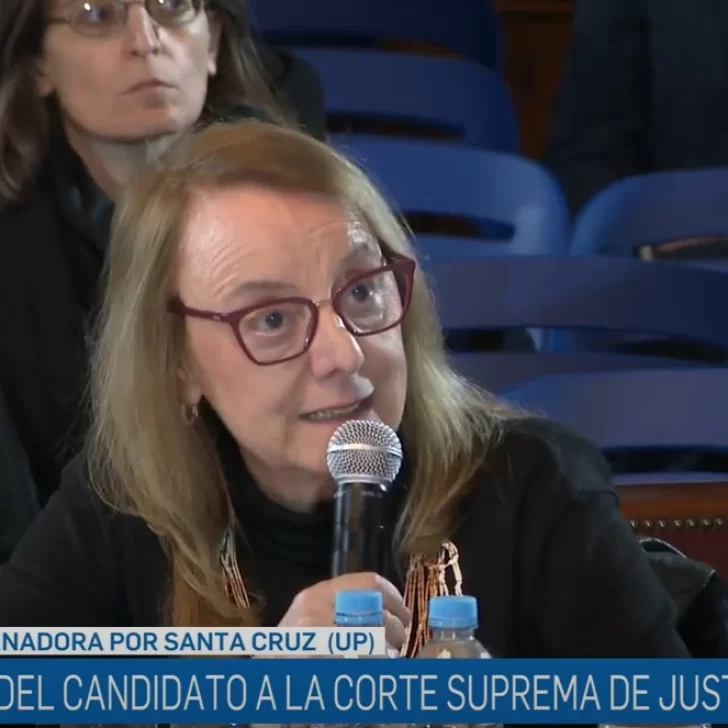 Alicia le pidió a Lijo que opine sobre la baja en la edad de imputabilidad