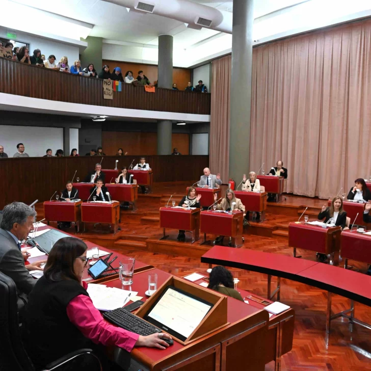 Legislatura del Chubut aprobó ampliación del presupuesto y avance del juicio político contra Panizzi