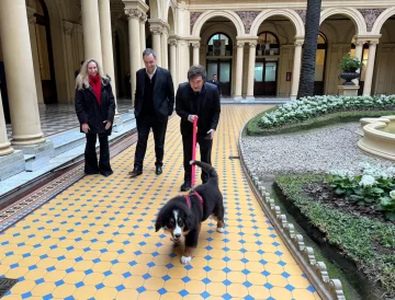 Javier Milei sacó a pasear al perro Thor por Casa Rosada: “Cómo conocés la casa donde trabaja el tío”