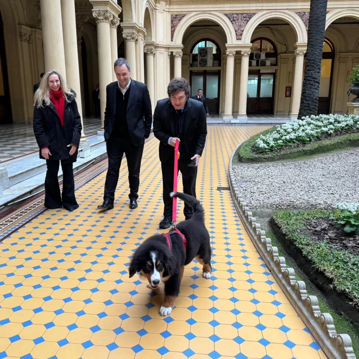 Javier Milei sacó a pasear al perro Thor por Casa Rosada: “Cómo conocés la casa donde trabaja el tío”