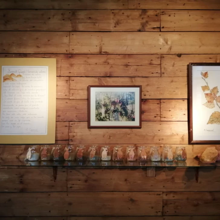 Inauguran la muestra “Nostalgias” de Sofía Vicic de Cepernic Inauguran la muestra “Nostalgias” de Sofía Vicic de Cepernic