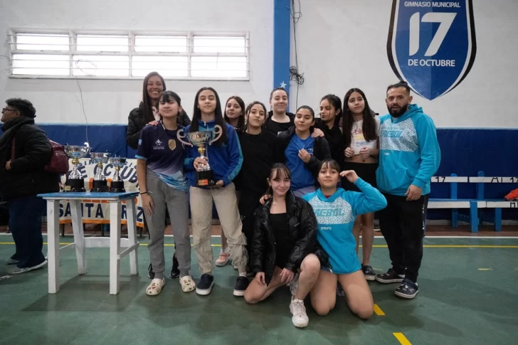 Voley-Trebol-728x485