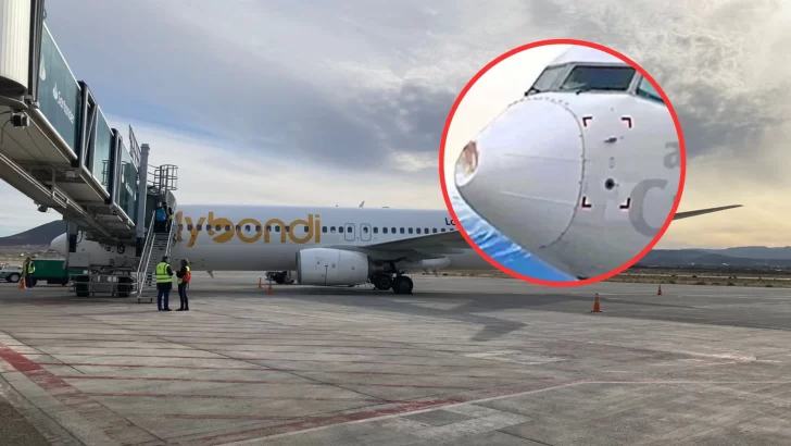 Un avión chocó con un ave cerca de El Calafate y tuvo que cancelar su vuelo