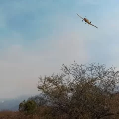 Hallaron el avión hidrante que estaba desaparecido en La Rioja: ¿Qué se sabe del piloto?