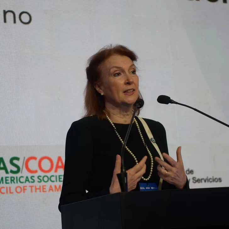 Diana Mondino en el Consejo de las Américas: “Nuestros aliados naturales son EEUU e Israel”