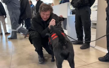 En su visita a Neuquén, Javier Milei frenó todo para saludar a un perro 