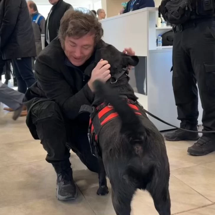 En su visita a Neuquén, Javier Milei frenó todo para saludar a un perro 