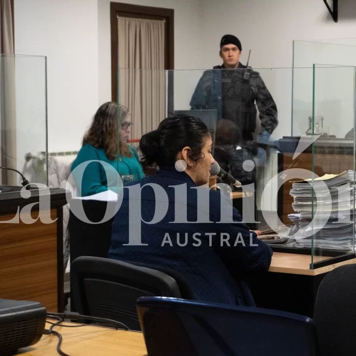 Juicio por la “casa del horror”: la tía ratificó los dichos de los nenes sobrevivientes