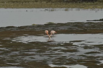 Clima en Río Gallegos: pronóstico del tiempo para este miércoles 14 de enero Clima en Río Gallegos: pronóstico del tiempo para este miércoles 14 de enero