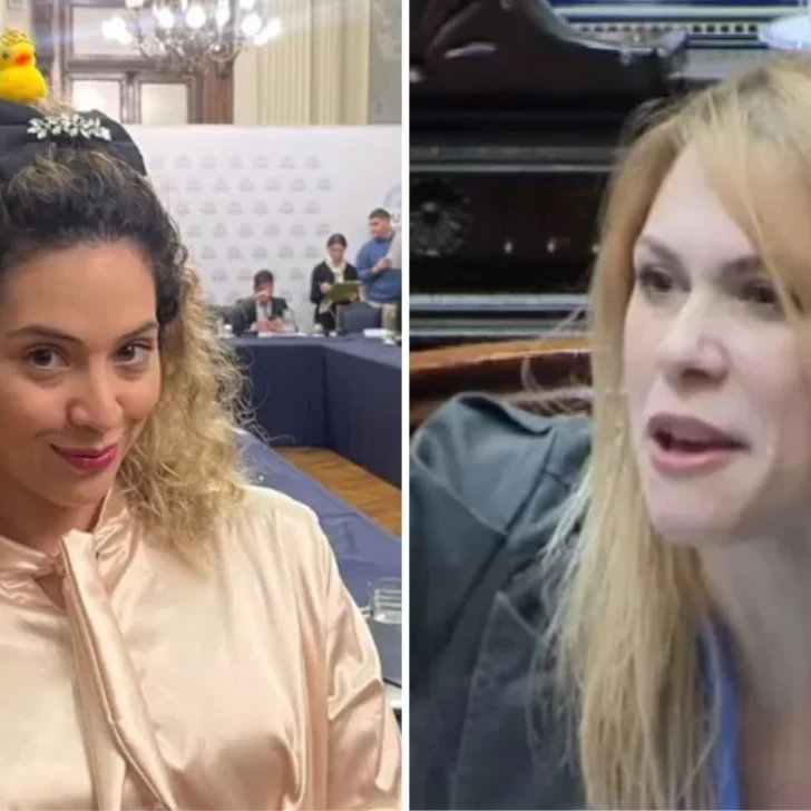 Lilia Lemoine destrozó a Lourdes Arrieta: “La diputada del patito está desequilibrada mentalmente”