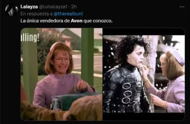 memes-avon-530-2-728x474