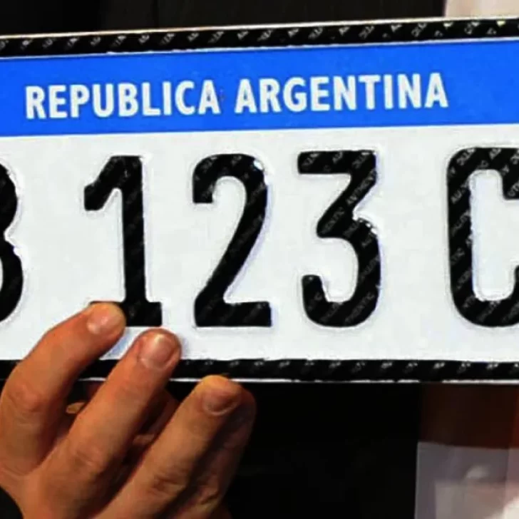 Cómo es el nuevo registro único y patente “de por vida” que busca implementar el Gobierno