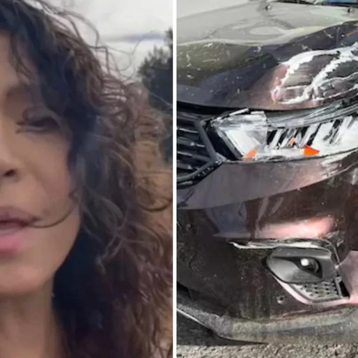 Patricia Sosa sufrió un accidente de tránsito en Panaméricana: “Una camioneta voló por el aire”