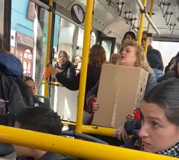 Subió al colectivo con su perro, le pidieron que se baje y se peleó con todos: “Ojalá tus hijos…”