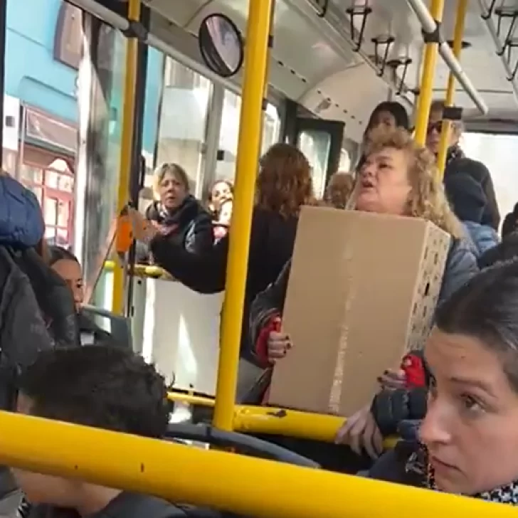 Subió al colectivo con su perro, le pidieron que se baje y se peleó con todos: “Ojalá tus hijos…”