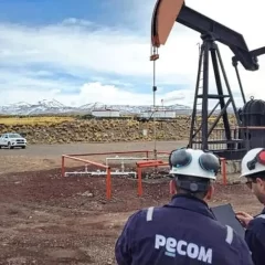 PECOM confirmó la compra a YPF de dos yacimientos maduros en Chubut: “Puede ser la punta de lanza del crecimiento de nuestro país”