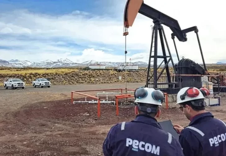 PECOM confirmó la compra a YPF de dos yacimientos maduros en Chubut: “Puede ser la punta de lanza del crecimiento de nuestro país”