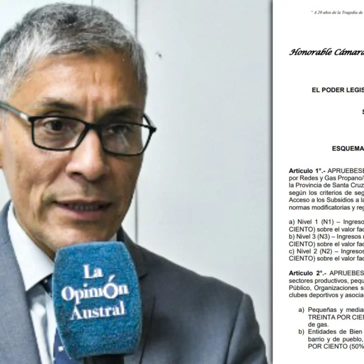 Ana Ianni presentó un repudio a las expresiones del ministro Sturzenegger