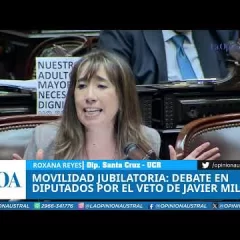 Roxana Reyes adelantó que se iba a abstener de votar el veto al aumento para los jubilados: ausente