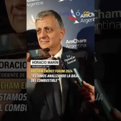 Horacio Marín, presidente de YPF: “Estoy acelerando el proyecto de la planta de GNL”