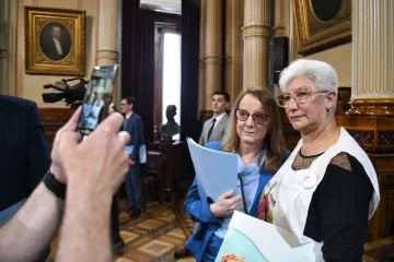 Alicia Kirchner apoyó la Ley Nicolás en el Senado y pidió mejorar “la gobernanza sanitaria” Alicia Kirchner apoyó la Ley Nicolás en el Senado y pidió mejorar “la gobernanza sanitaria”