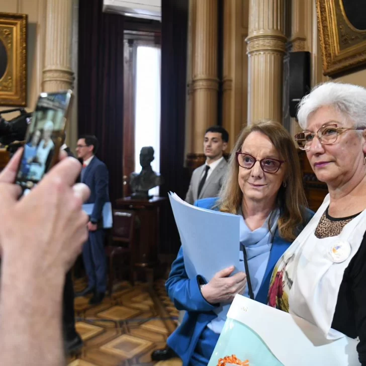 Alicia Kirchner apoyó la Ley Nicolás en el Senado y pidió mejorar “la gobernanza sanitaria” Alicia Kirchner apoyó la Ley Nicolás en el Senado y pidió mejorar “la gobernanza sanitaria”