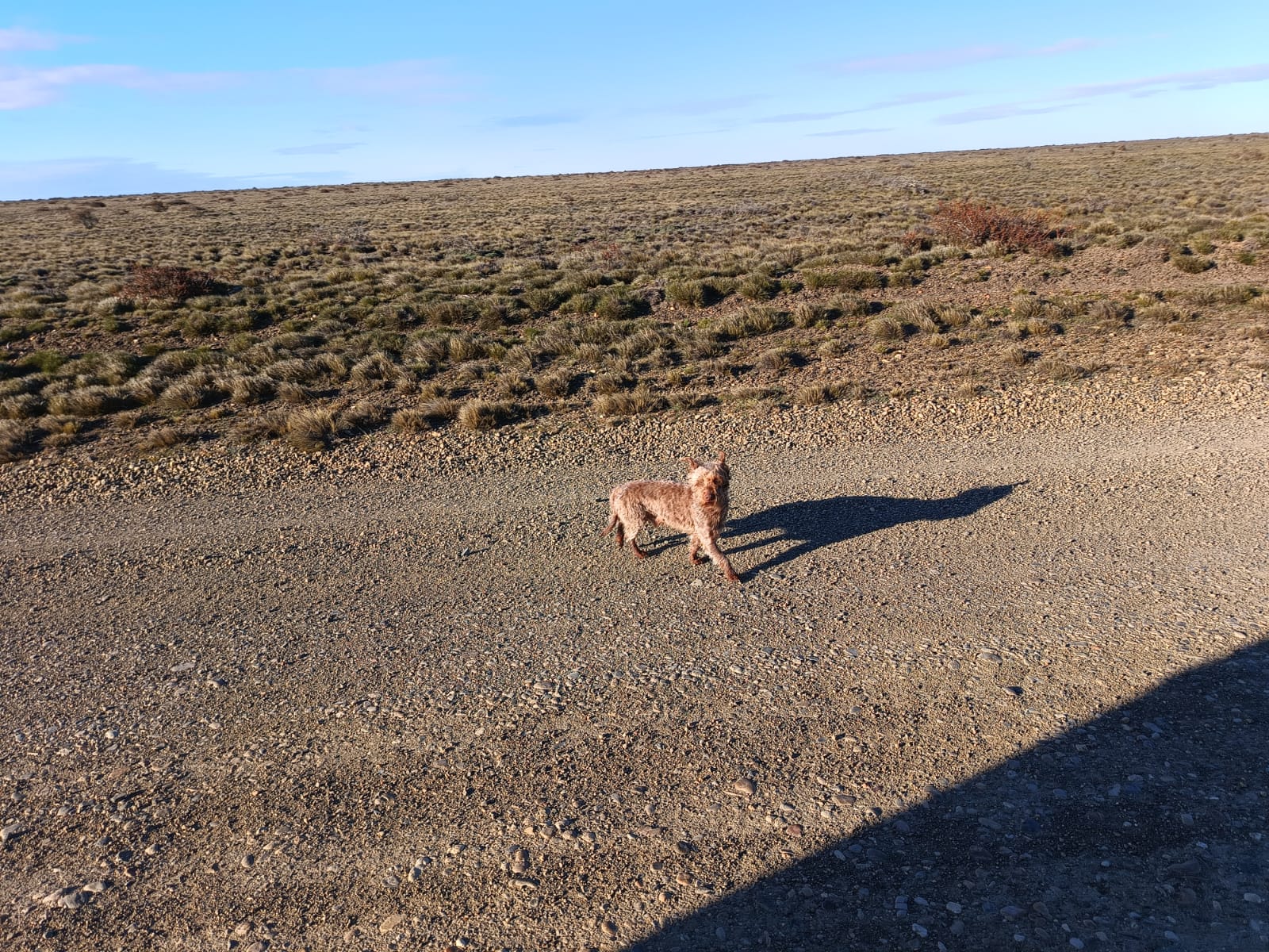  La foto que Daniel le envió a la familia para que lo reconozcan