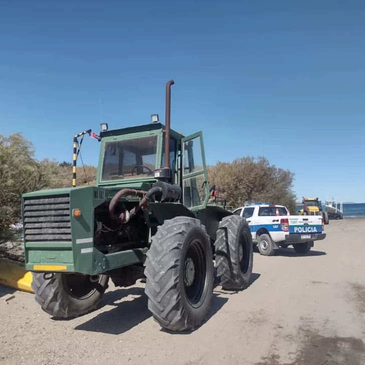 Un trabajador de una empresa de avistaje de ballenas fue aplastado por un tractor