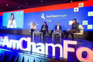 Todo el AmCham Energy Forum 2024 donde se analizó la realidad y el desafío energético en Argentina