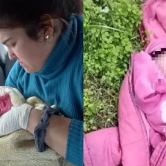 Encontraron un bebé recién nacido abandonado bajo la lluvia y con hipotermia