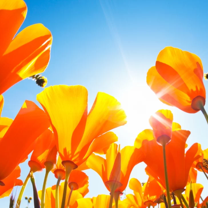 Clima en Río Gallegos en el Día de la Primavera: pronóstico del tiempo para este domingo 21 Clima en Río Gallegos en el Día de la Primavera: pronóstico del tiempo para este domingo 21