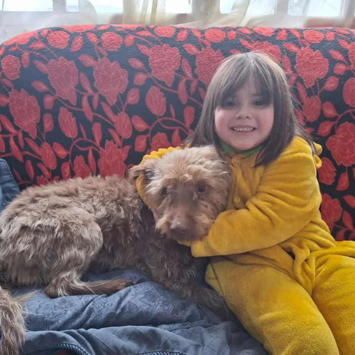 Se perdió Chocolino y su familia lo busca desesperadamente: Frida, la pequeña dueña del perro, “está completamente rota de tristeza”