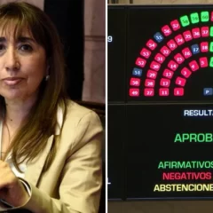 Roxana Reyes celebró la aprobación de la Boleta Única en el Senado: “¡Seguimos adelante!”