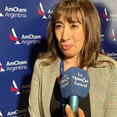 AmCham Energy Forum. Roxana Reyes: “Santa Cruz necesita la aplicación del RIGI”