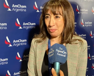 AmCham Energy Forum. Roxana Reyes: “Santa Cruz necesita la aplicación del RIGI”