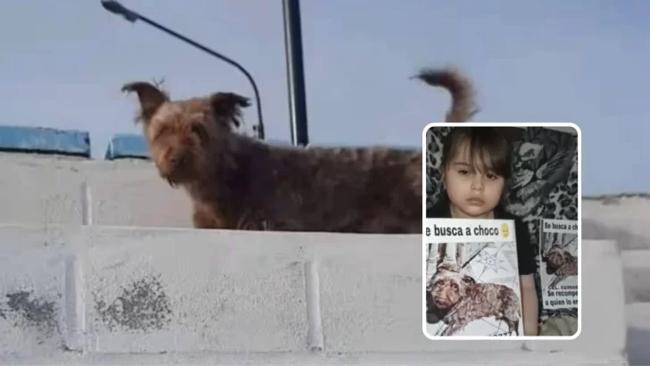 Nena busca a su perrito “Chocolino”: “Lo extraño, lo quiero abrazar”