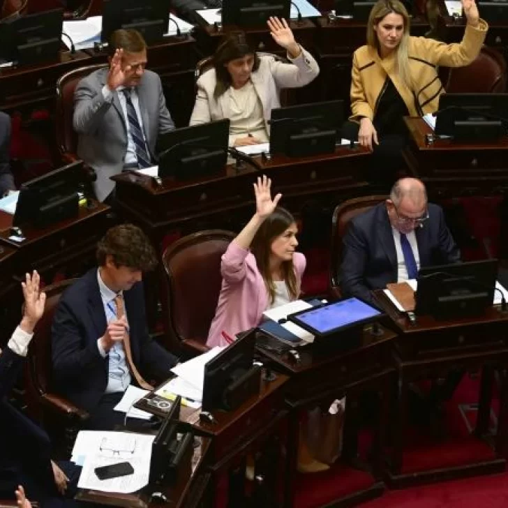 El Senado aprobó la Boleta Única de Papel