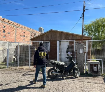 Fueron en busca de electrodomésticos robados y encontraron marihuana