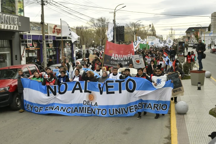 Desde la UNPA alertaron por “datos maliciosos” y “campaña” contra las universidades