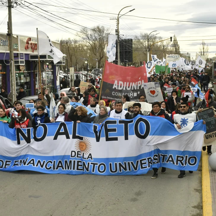 Desde la UNPA alertaron por “datos maliciosos” y “campaña” contra las universidades