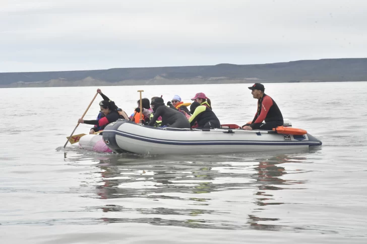  En 2024, se realizó la 4ta edición de la Regata Rosa. Foto: José Silva/La Opinión Austral