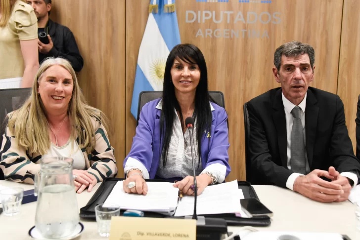 Diputada Lorena Villaverde: “El objetivo de Milei es desarrollar el potencial energético”