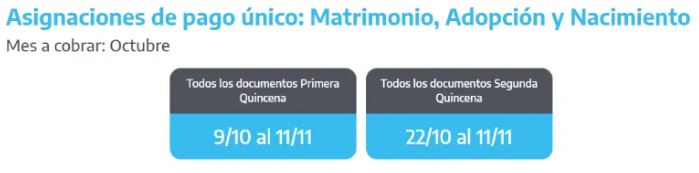 asignaciones-pago-unico-anses-octubre