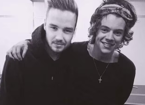 harry-styles-liam-payne-439-3